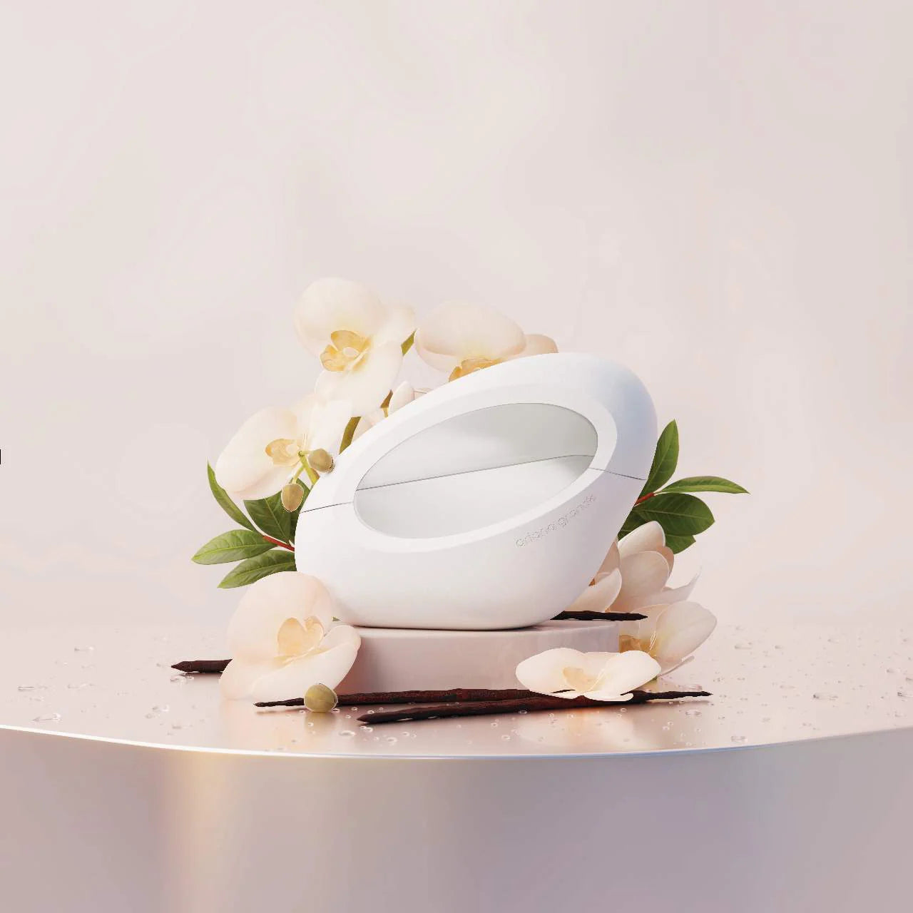 Ariana Grande Mod Vanilla Perfume.